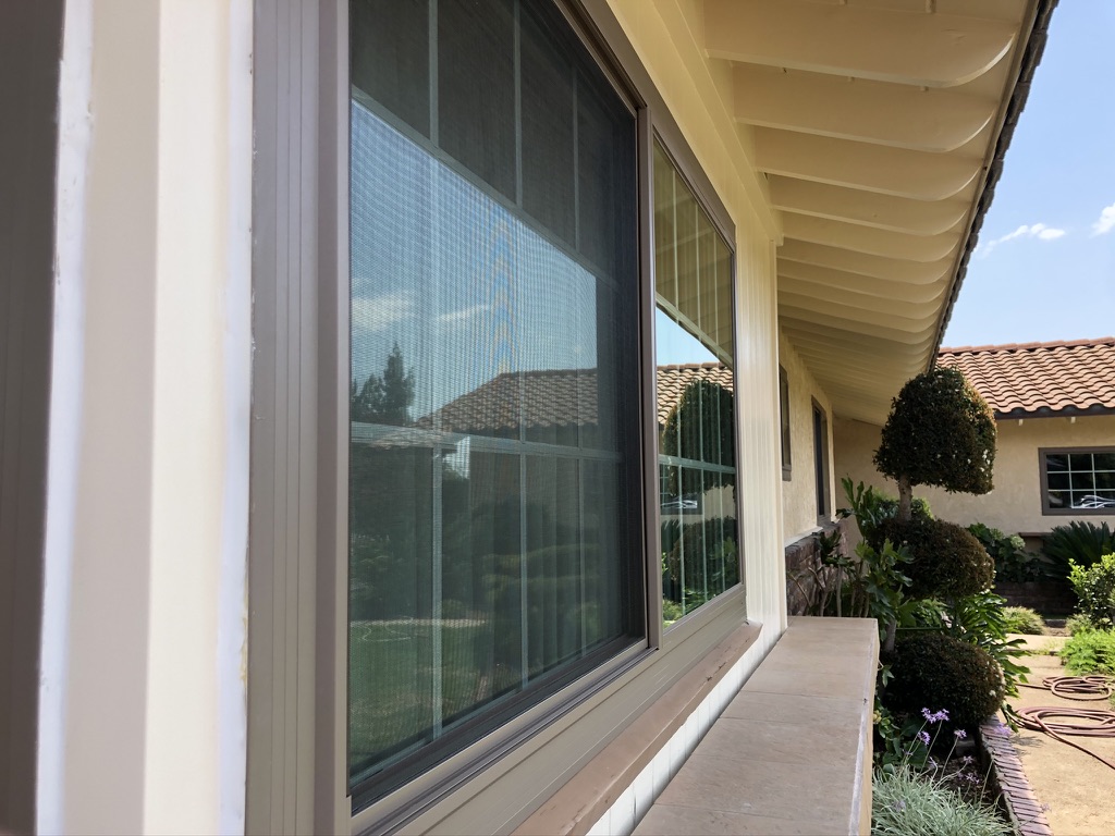 Brown Windows after